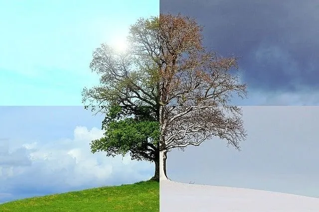 Seasons of the year 1127760 640
